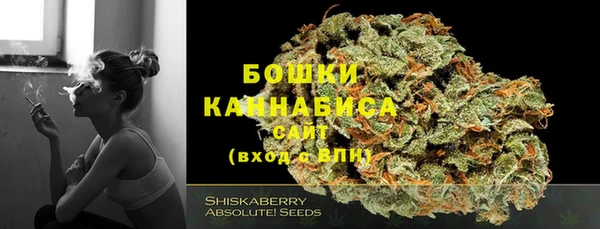 сатива Алексеевка