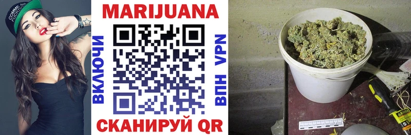 Канабис конопля  Андреаполь 